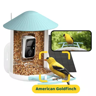 Birdfy Feeder AI - karmnik dla ptak&oacute;w z kamerą i AI z rozpoznawaniem gatunk&oacute;w