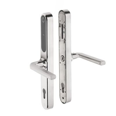 Klamka elektroniczna PSG VERRO &ndash; srebrna, rozstaw 92 mm, Bluetooth, WiFi, Smart Life (Tuya) 