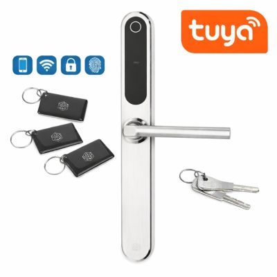 Inteligentna klamka elektroniczna PSG TUCAN - srebrna, Bluetooth, Wi-Fi, Smart Life (Tuya)