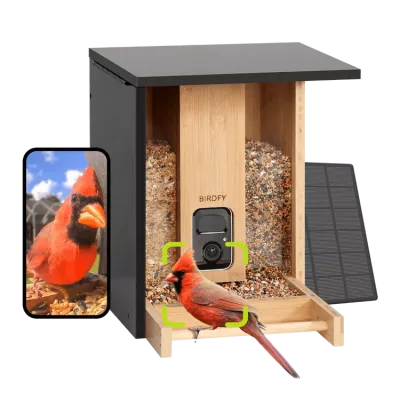 Birdfy Feeder Bamboo AI - karmnik dla ptak&oacute;w z kamerą i AI z rozpoznawaniem gatunk&oacute;w