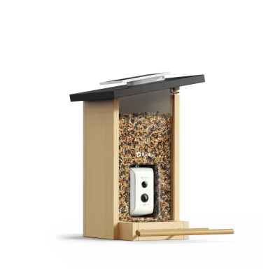 Birdfy Feeder Ebony LE - karmnik dla ptak&oacute;w z kamerą