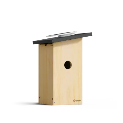 Birdfy House Ebony - budka lęgowa dla ptaków z kamerą