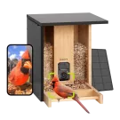 Birdfy Feeder Bamboo AI - karmnik dla ptaków z kamerą i AI z rozpoznawaniem gatunków