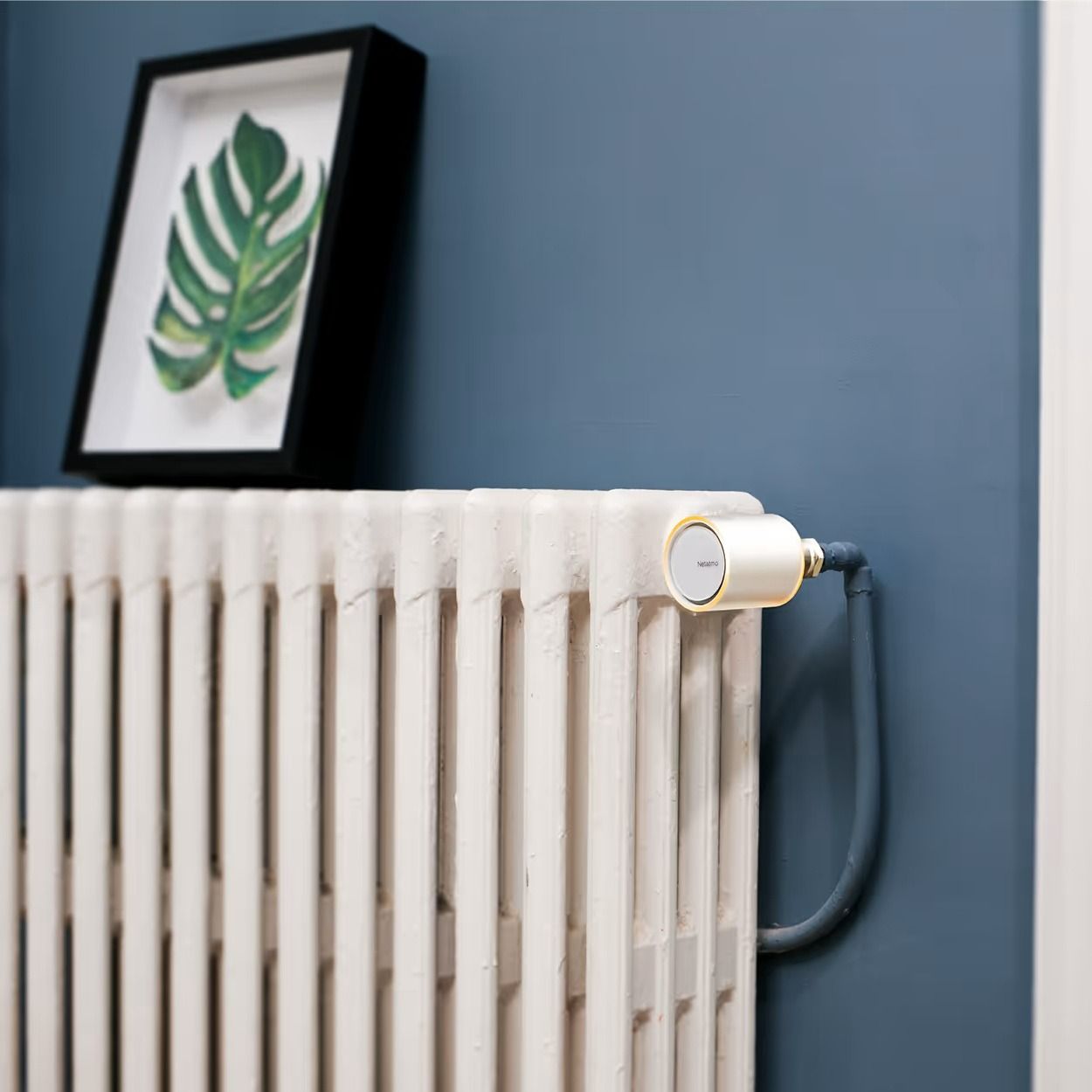 Pakiet Starter Pack: 2 x inteligentne głowice termostatyczne Netatmo NVP + przekaźnik + Zestaw 3 głowic termostatycznych Netatmo NBU-NAV