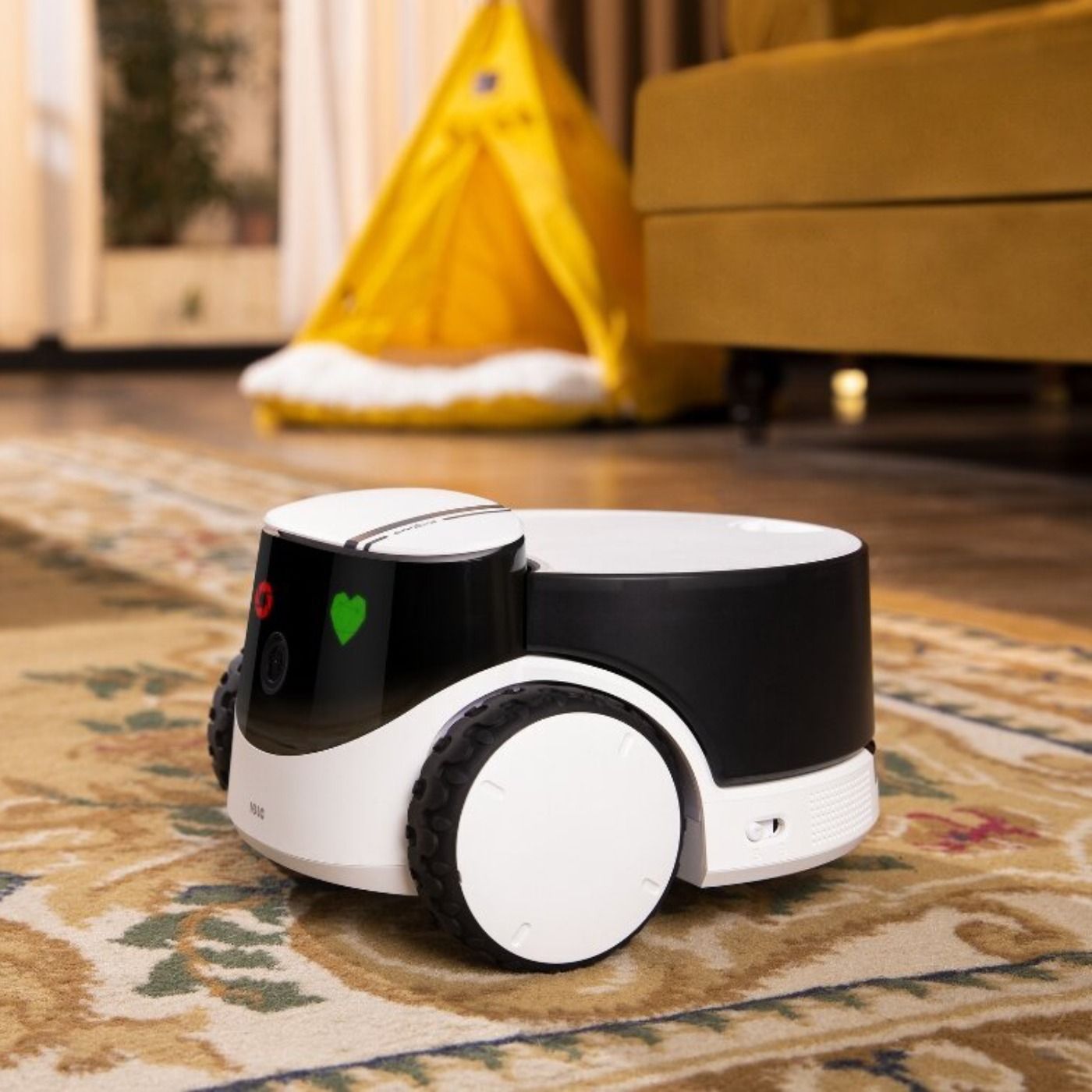 EnaBot Rola PetPal - robot z kamerą dla psów i kotów
