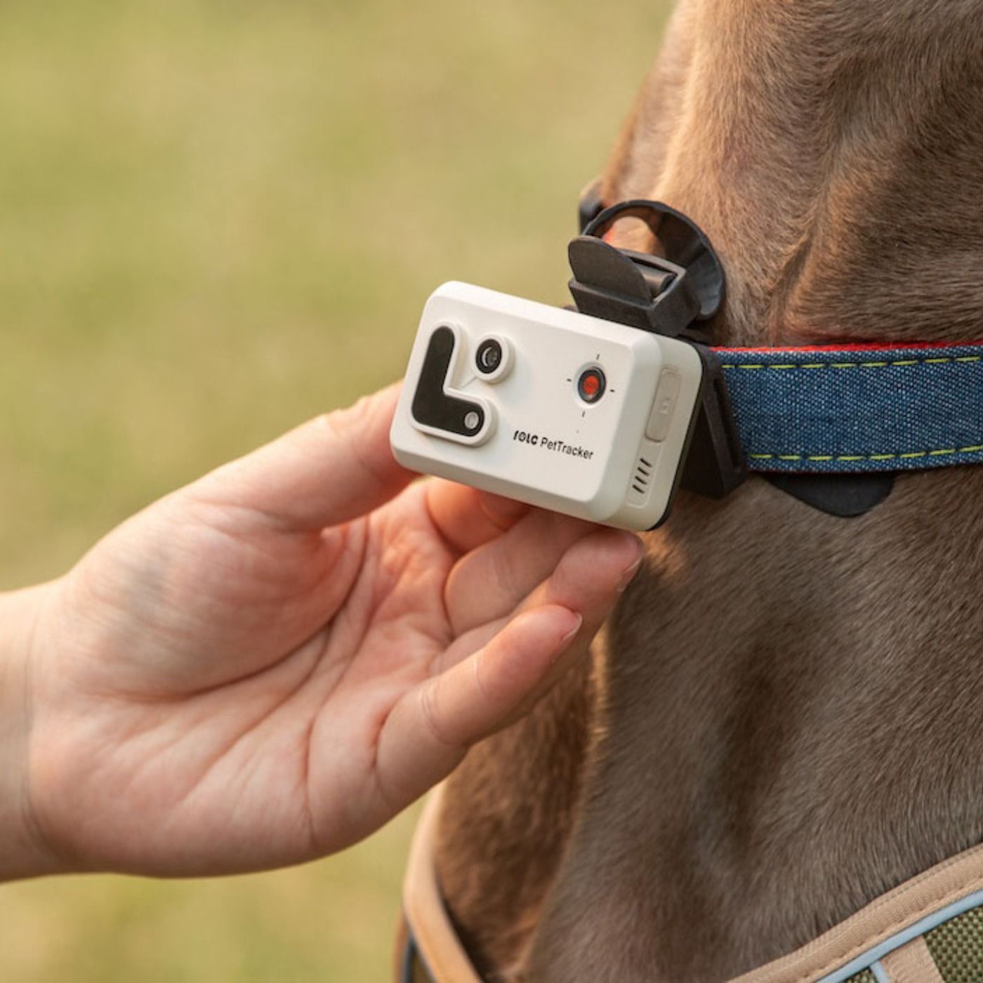 EnaBot Rola PetTracker - lokalizator dla psów z wbudowana kamerą, żółty