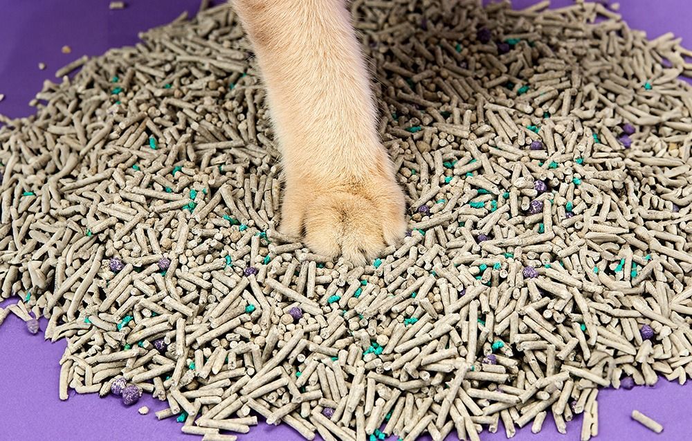 Żwirek dla kota 7L Petkit