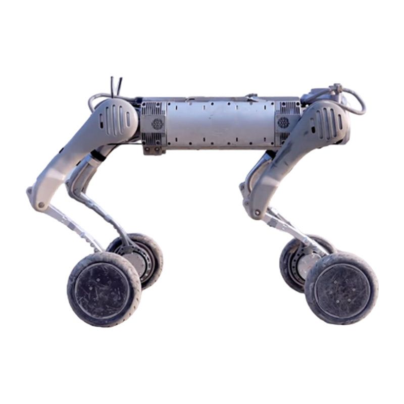 Robot czworonożny UNITREE B2-W