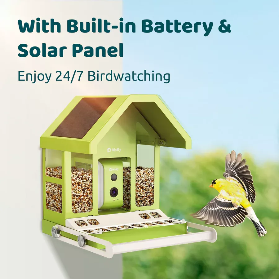 Birdfy Feeder Metal LE - karmnik dla ptaków z kamerą