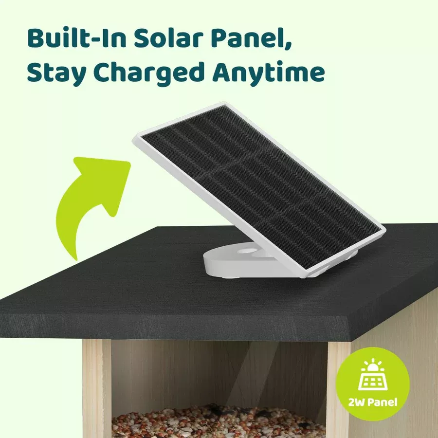 Birdfy Feeder Ebony LE - karmnik dla ptaków z kamerą