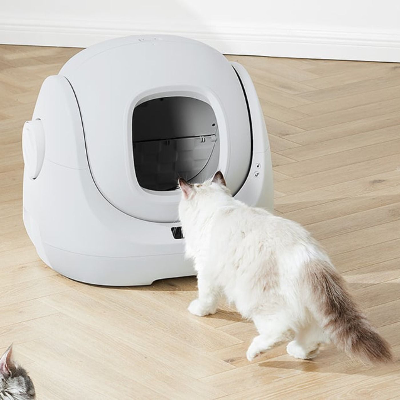 Inteligentna samoczyszcząca  kuweta dla kotów Catlink BayMax Lite