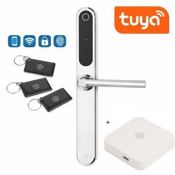 Zestaw inteligentna klamka elektroniczna PSG TUCAN - srebrna, Bluetooth, Wi-Fi, Smart Life (Tuya) + bramka hub WI-Fi