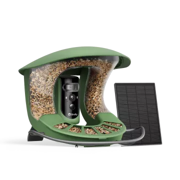Birdfy Feeder 2 Pro AI - karmnik dla ptaków z kamerą i AI z rozpoznawaniem gatunków