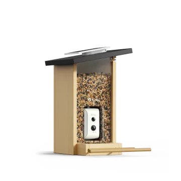Birdfy Feeder Ebony LE - karmnik dla ptaków z kamerą