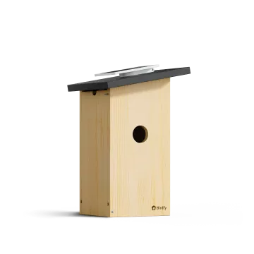 Birdfy House Ebony - budka lęgowa dla ptaków z kamerą